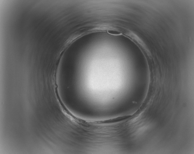 X0000069811049200605221159