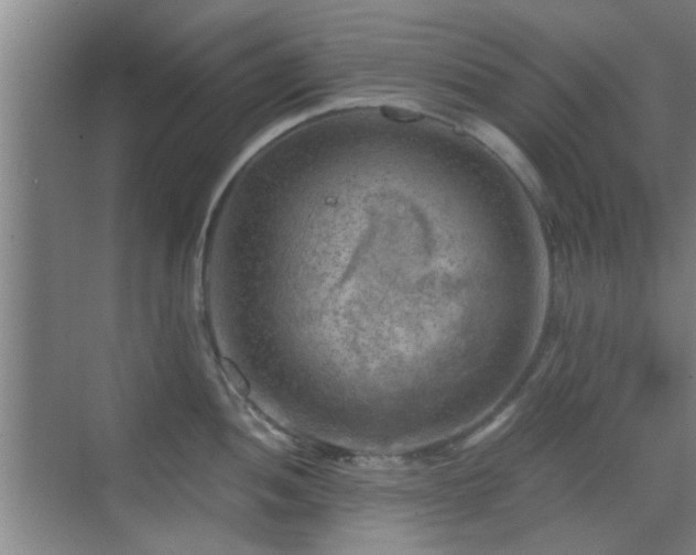 X0000069811052200605221159