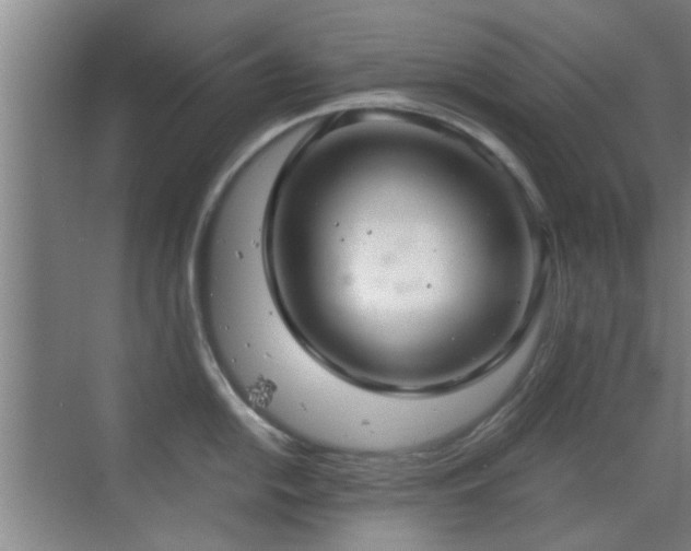 X0000069811054200605221159