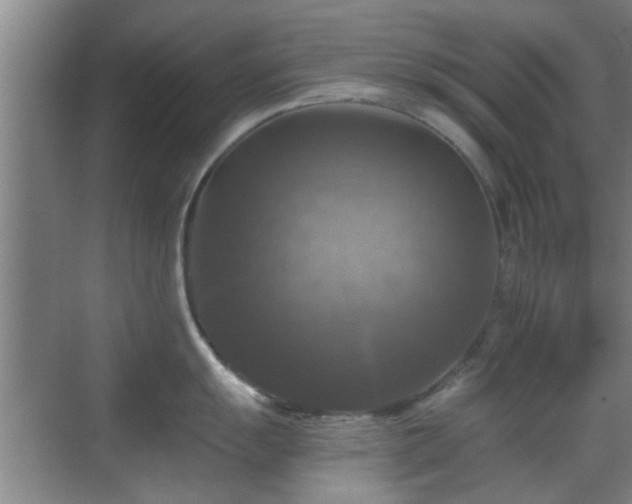 X0000069811055200605221159