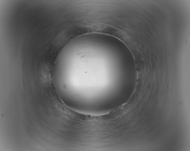 X0000069811058200605221158