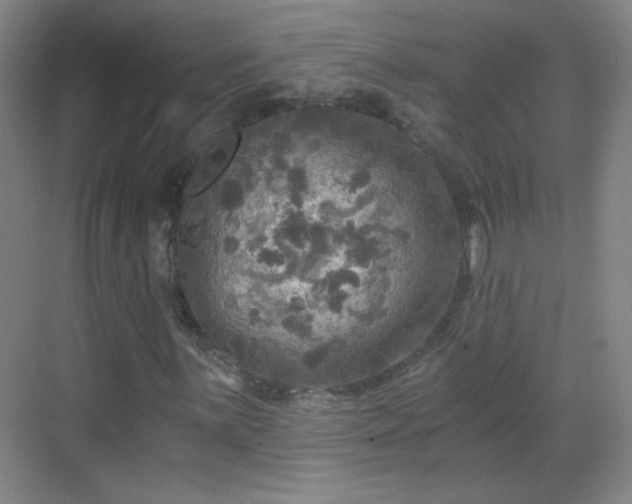 X0000069811059200605221158