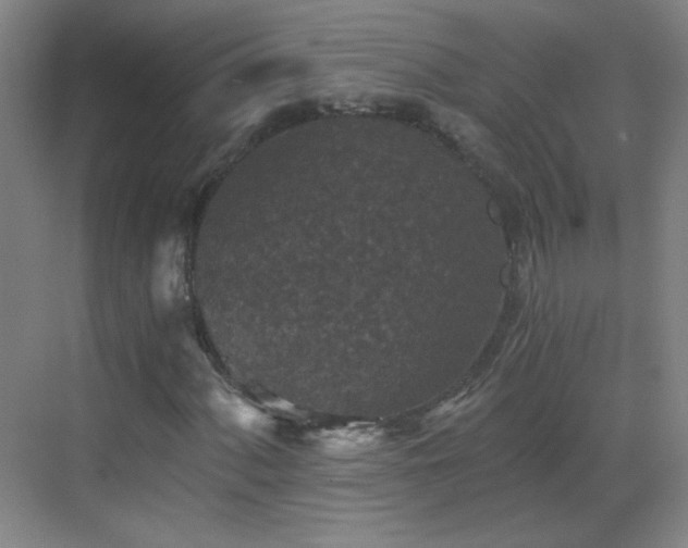 X0000069811060200605221158