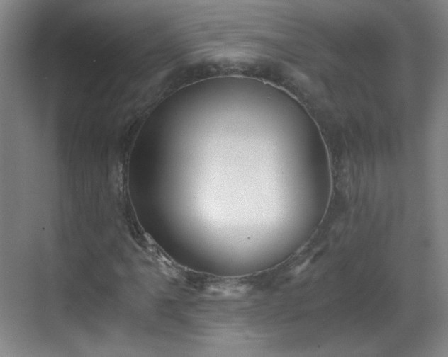 X0000069811061200605221158