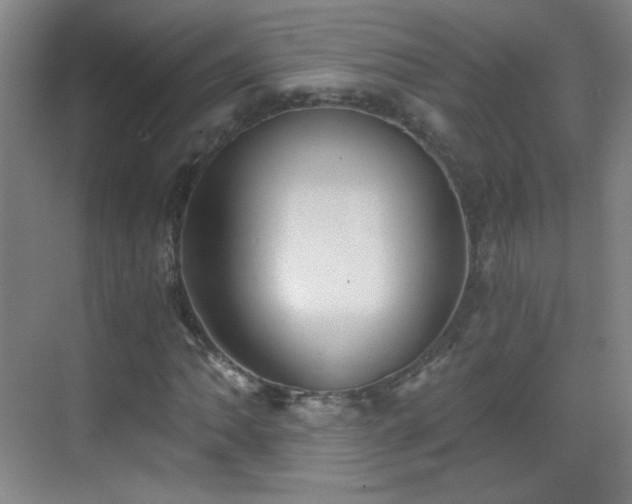 X0000069811062200605221158