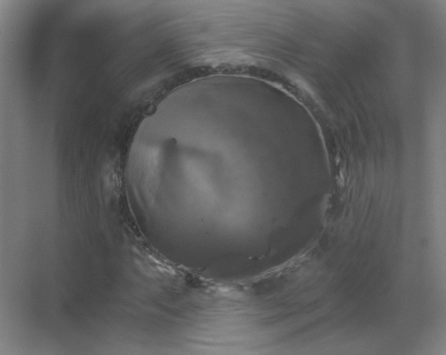 X0000069811063200605221158