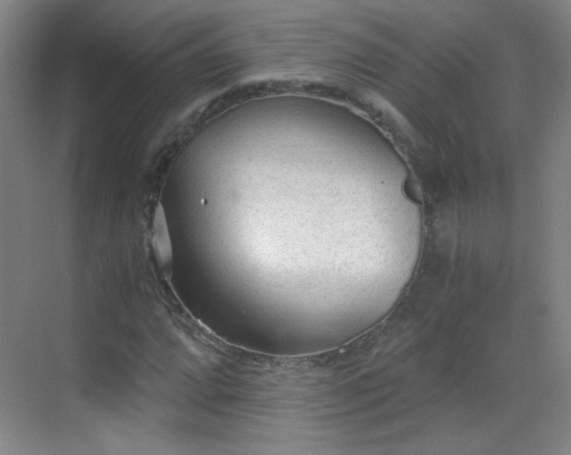 X0000069811064200605221158