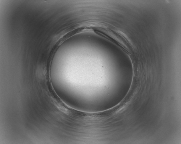 X0000069811065200605221158