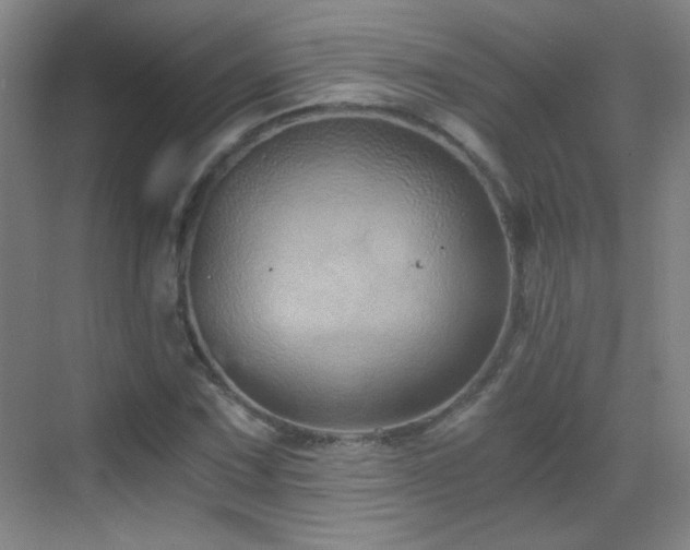 X0000069811067200605221158