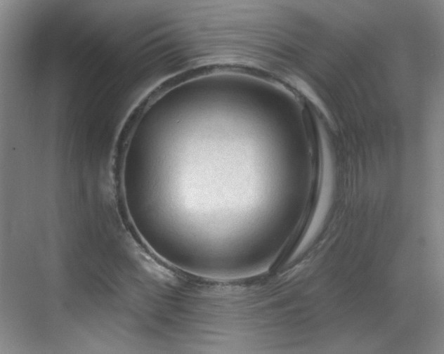 X0000069811068200605221158