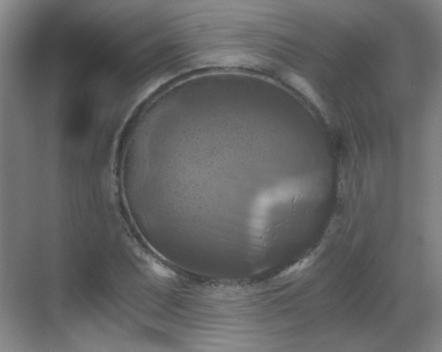 X0000069811071200605221158