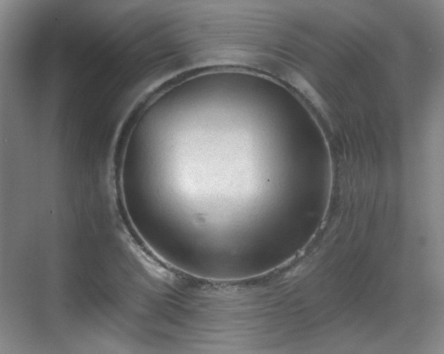 X0000069811072200605221158