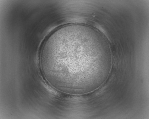 X0000069811074200605221158