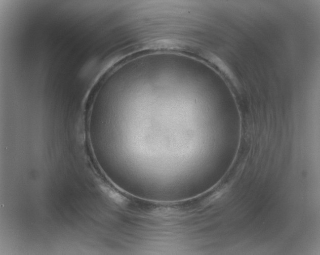 X0000069811075200605221158