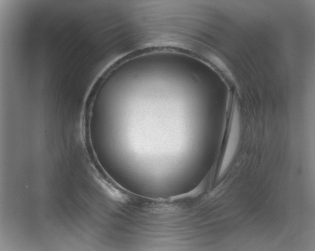 X0000069811076200605221158