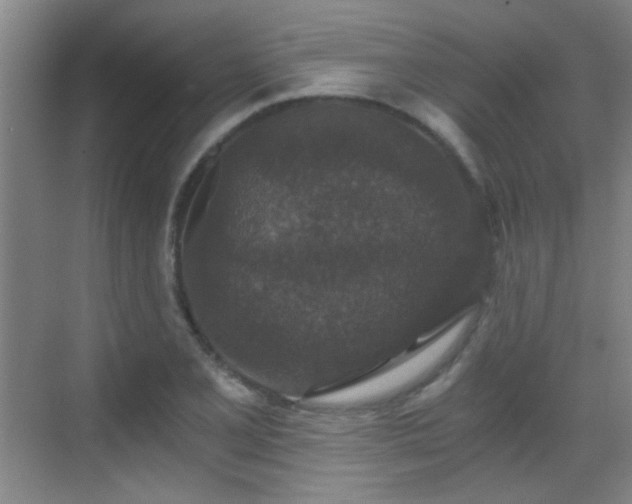 X0000069811077200605221158