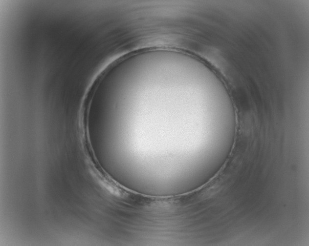 X0000069811078200605221158