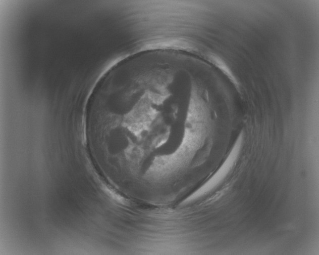 X0000069811079200605221158