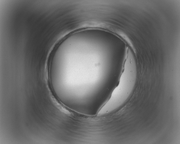 X0000069811080200605221158