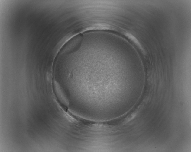 X0000069811081200605221158