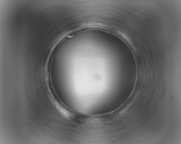 X0000069811082200605221158