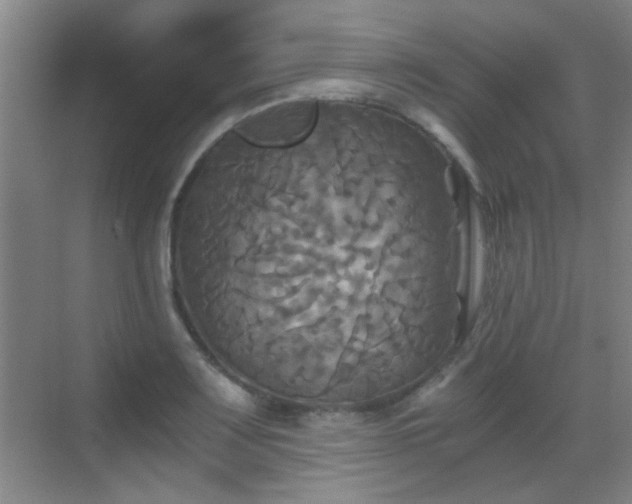 X0000069811083200605221158