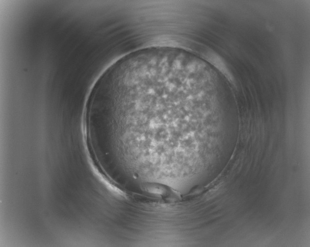 X0000069811084200605221158