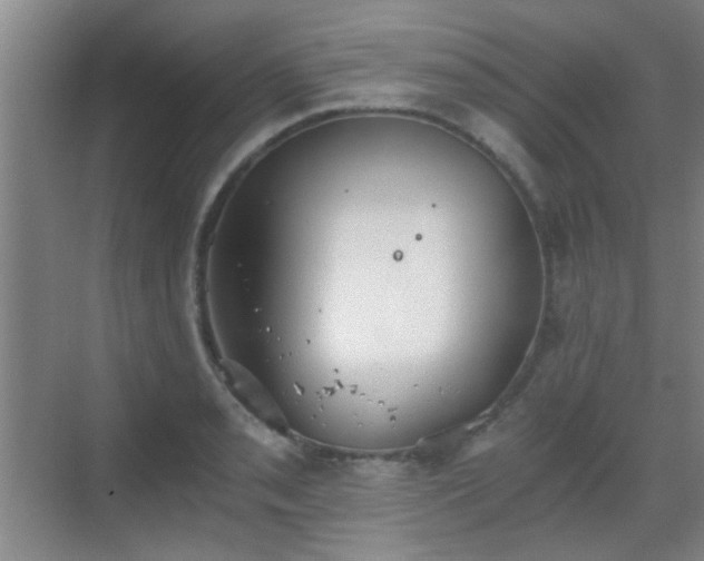 X0000069811085200605221158