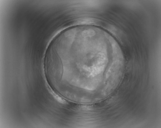 X0000069811086200605221158