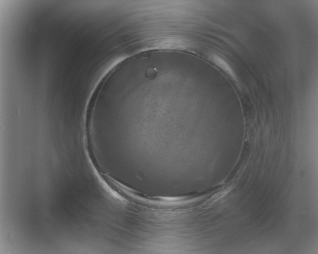 X0000069811087200605221158