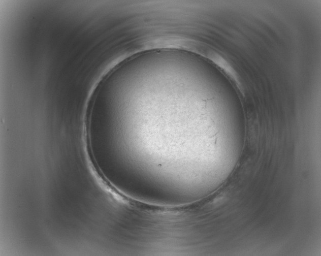 X0000069811088200605221158