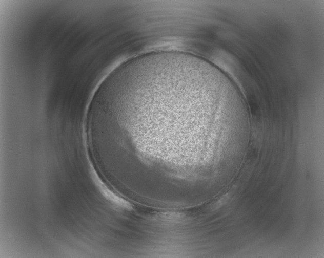 X0000069811090200605221158