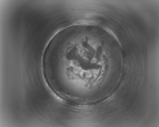 X0000069811091200605221158