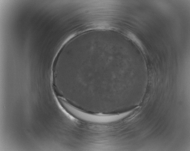 X0000069811095200605221158