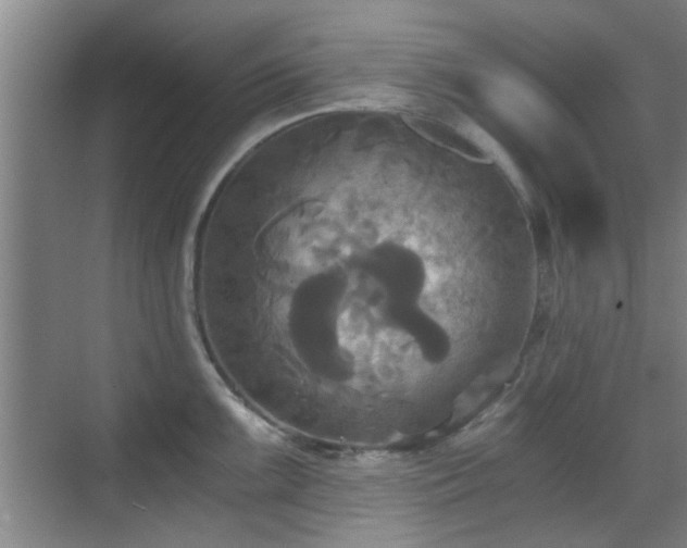 X0000069811099200605221158