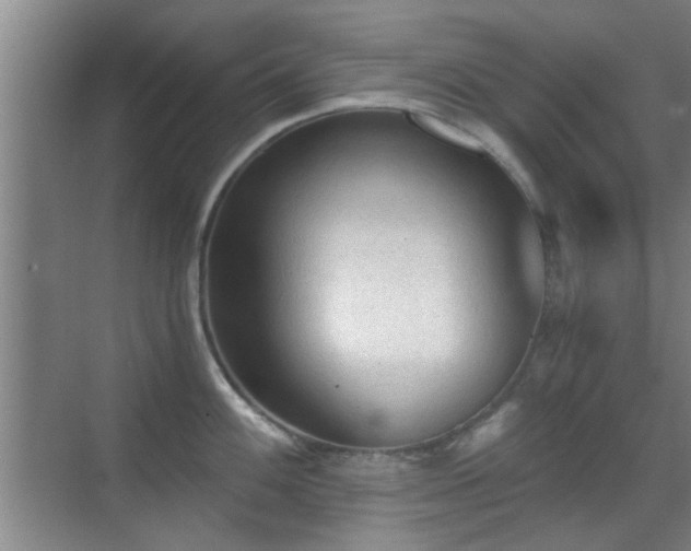 X0000069811100200605221158