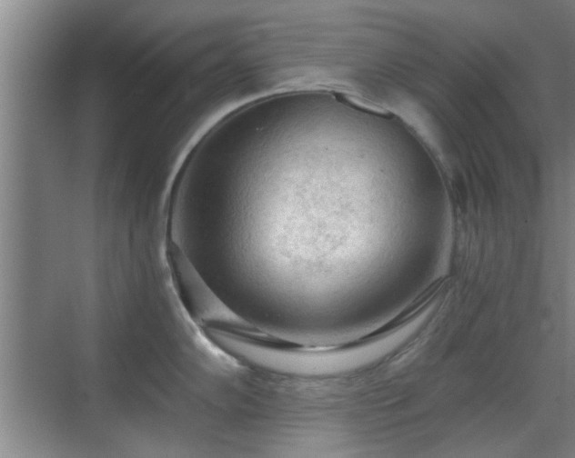 X0000069811102200605221158