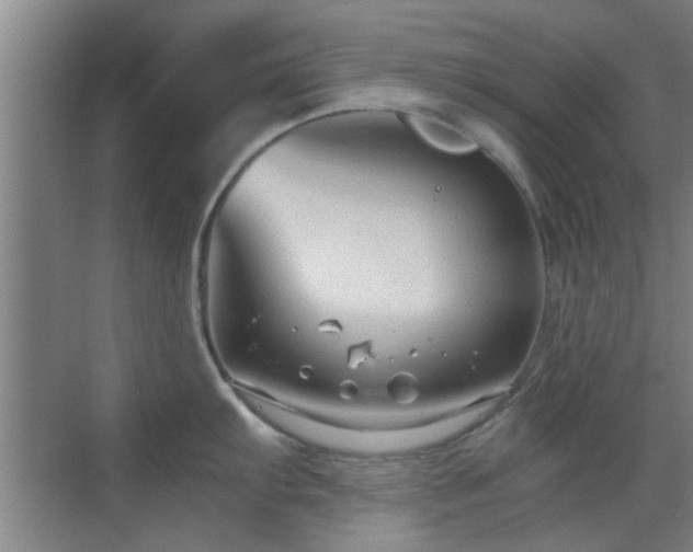 X0000069811103200605221157