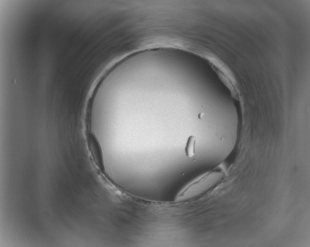 X0000069811104200605221157