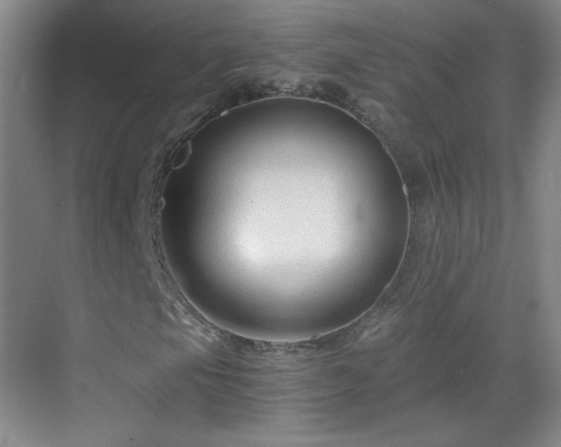 X0000069811105200605221157