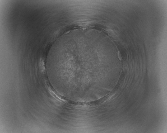 X0000069811106200605221157