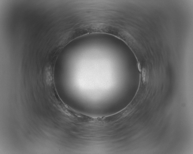 X0000069811107200605221157