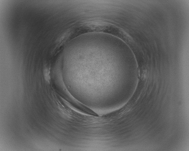 X0000069811108200605221157