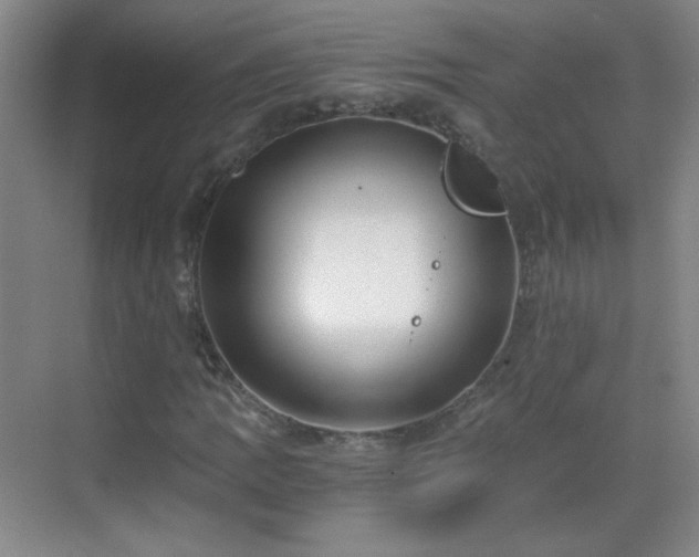 X0000069811109200605221157