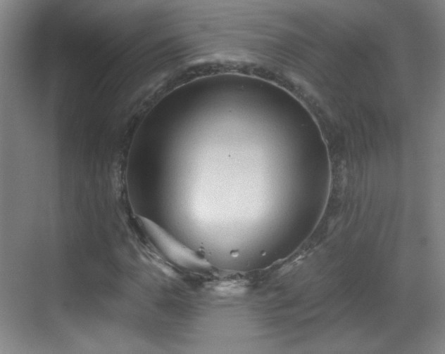 X0000069811110200605221157