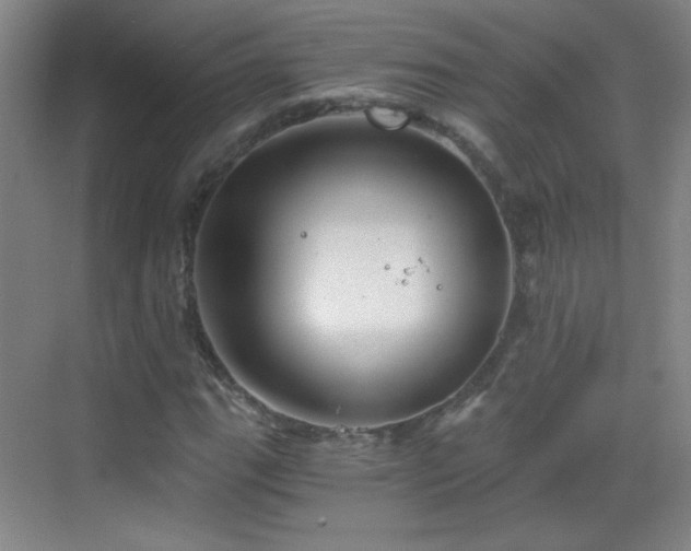 X0000069811111200605221157