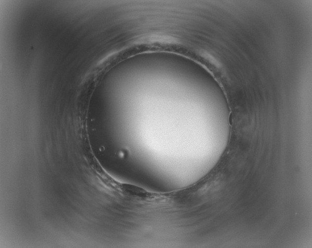 X0000069811112200605221157