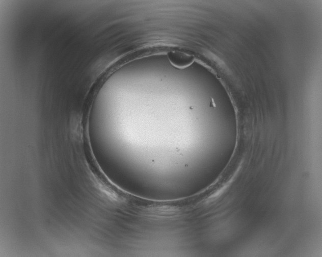 X0000069811113200605221157