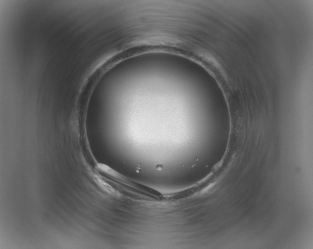 X0000069811114200605221157