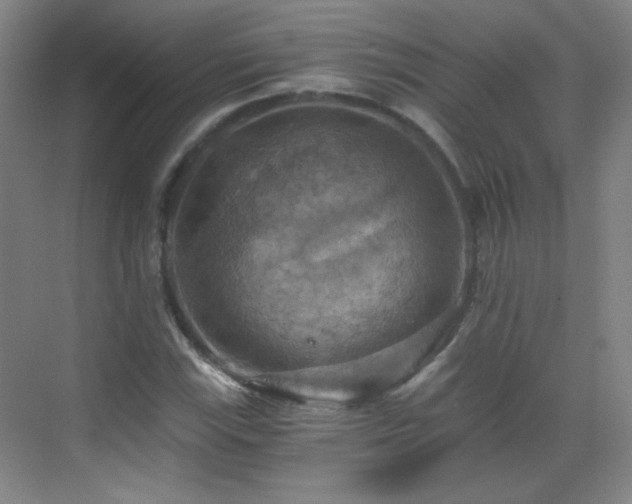 X0000069811115200605221157